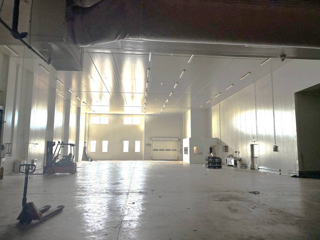 capannone in affitto a Povegliano Veronese