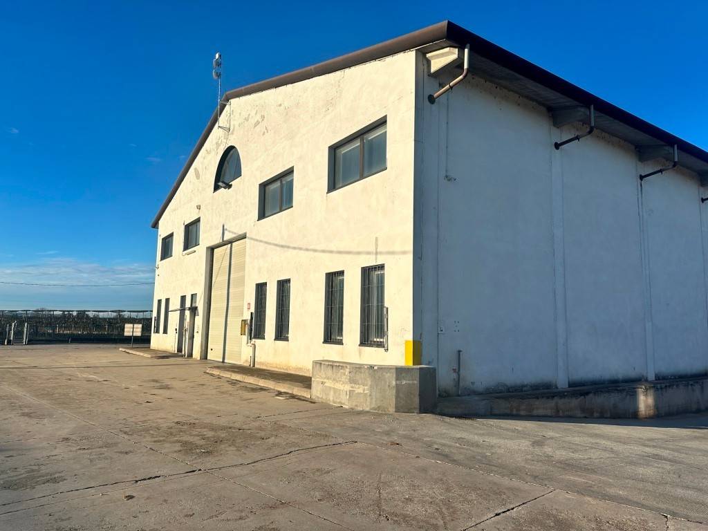 capannone in affitto a Povegliano Veronese