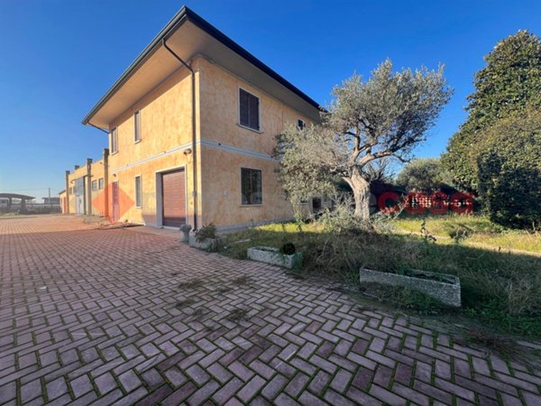 casa indipendente in affitto a Salizzole