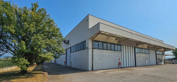 capannone in affitto a San Bonifacio