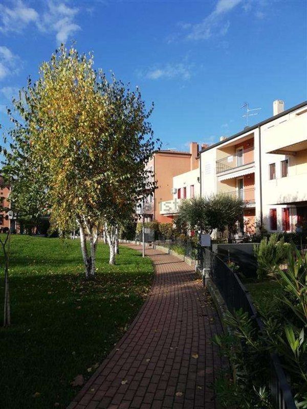 appartamento in affitto a San Bonifacio