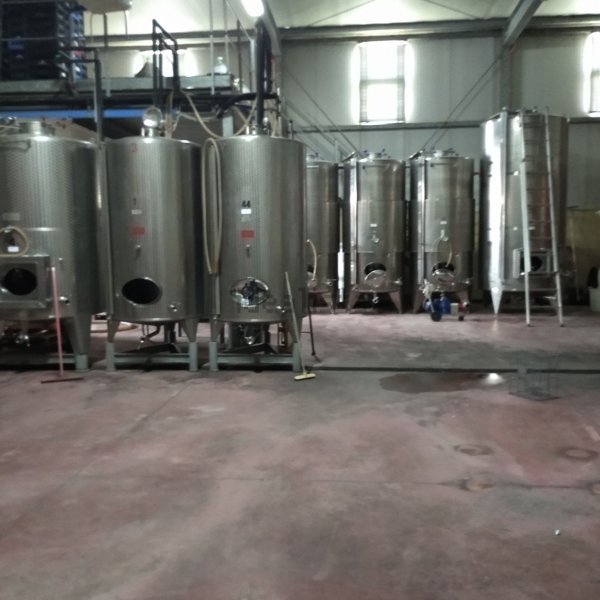 capannone in affitto a San Bonifacio