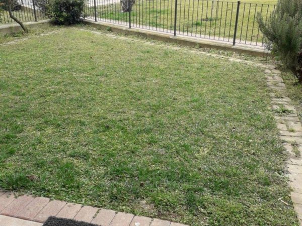 appartamento in affitto a San Bonifacio