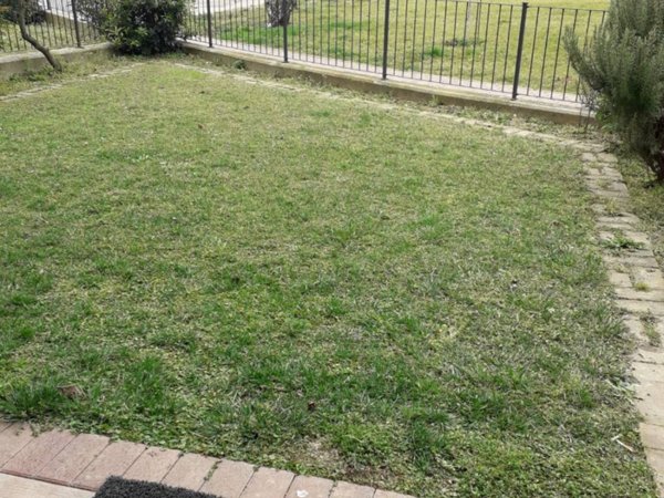 appartamento in affitto a San Bonifacio