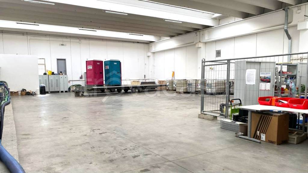 appartamento in affitto a San Giovanni Lupatoto
