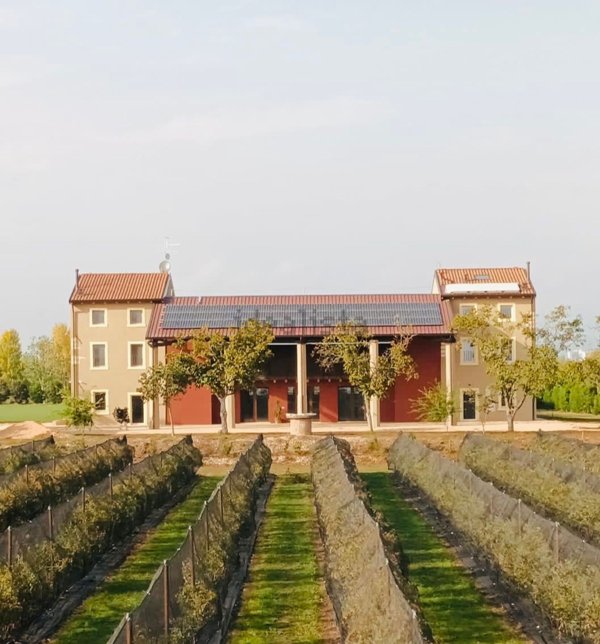 appartamento in affitto a San Giovanni Lupatoto