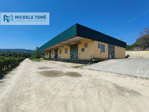 capannone in affitto a San Pietro in Cariano in zona San Floriano