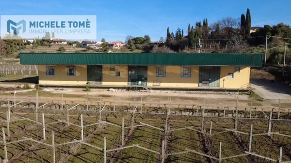 ufficio in affitto a San Pietro in Cariano in zona San Floriano