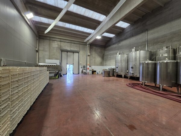 locale commerciale in affitto a Sant'Ambrogio di Valpolicella