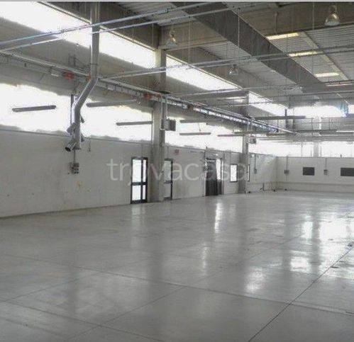 locale commerciale in affitto a Soave