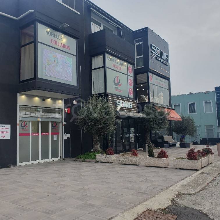 immagine annuncio 0 di 15