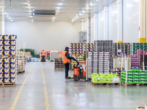 locale commerciale in affitto a Sommacampagna