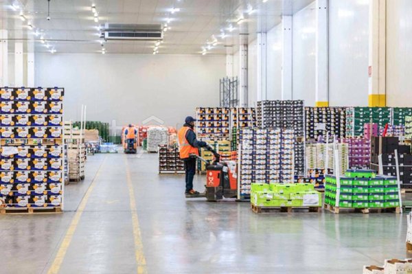 locale commerciale in affitto a Sommacampagna