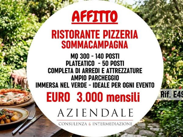 negozio in affitto a Sommacampagna