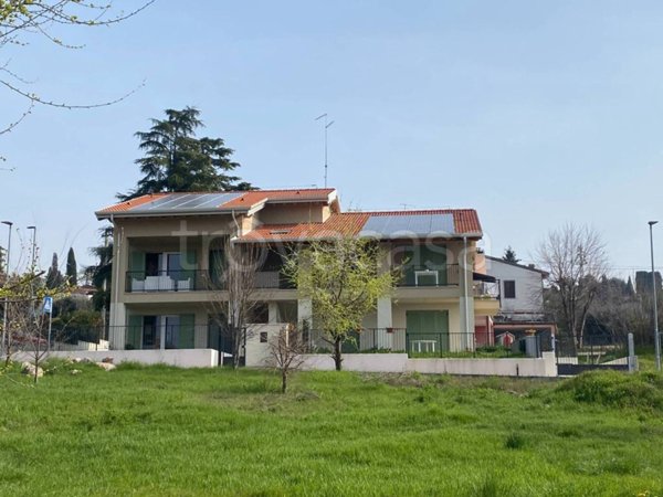 appartamento in affitto a Sona