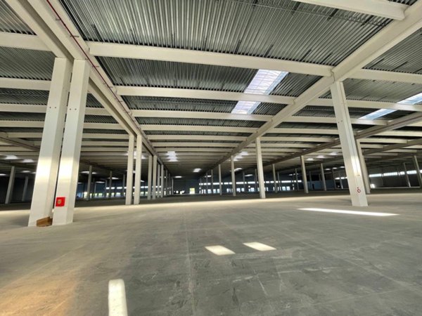 locale commerciale in affitto a Verona in zona Borgo Roma