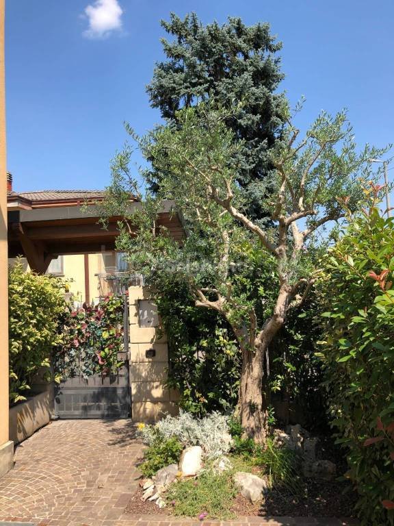 casa indipendente in affitto a Verona in zona Cadidavid