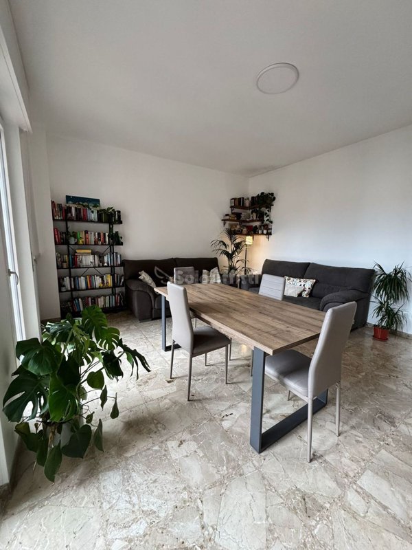 appartamento in affitto a Verona in zona Borgo Venezia / Borgo Trieste