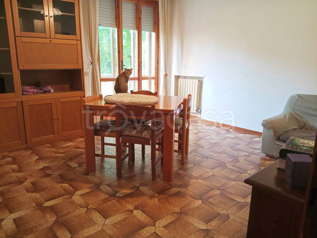 appartamento in affitto a Verona in zona Borgo Roma