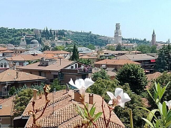appartamento in affitto a Verona in zona Borgo Trento