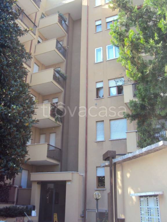 appartamento in affitto a Verona in zona Borgo Venezia / Borgo Trieste