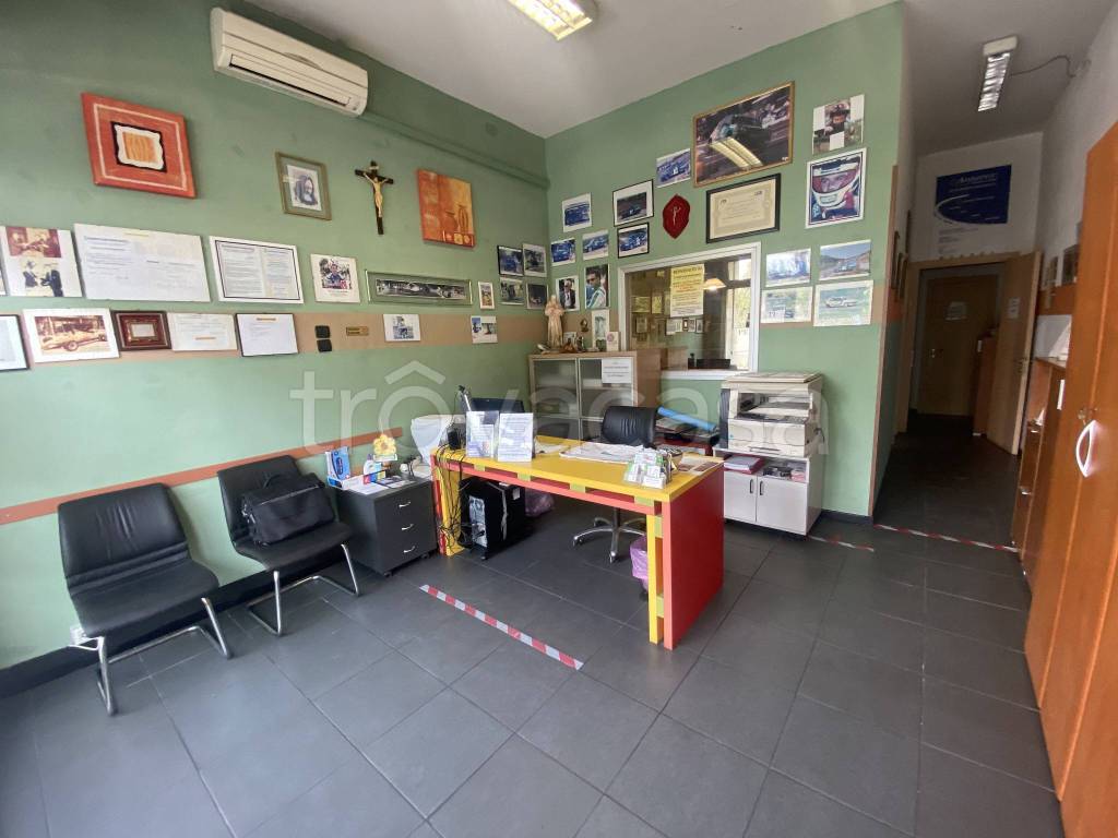 trivano in affitto a Verona in zona Borgo Roma