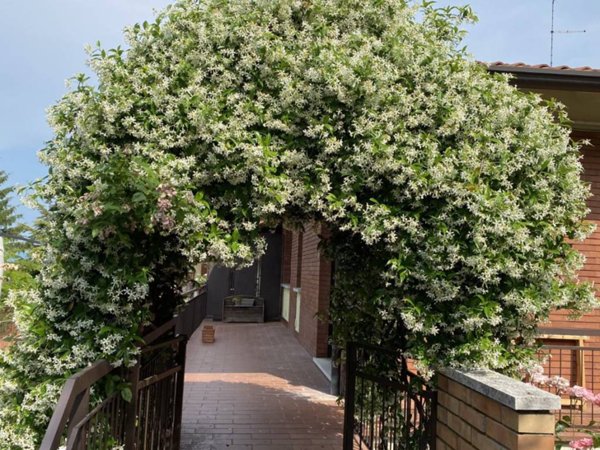 appartamento in affitto a Verona in zona Valdonega