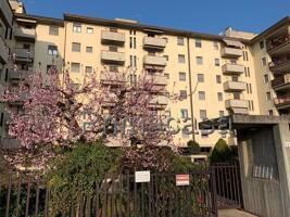 appartamento in affitto a Verona in zona Borgo Roma