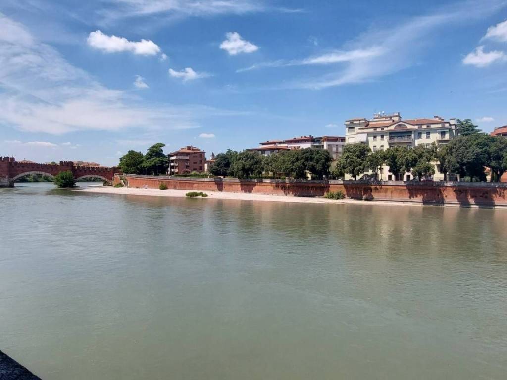 appartamento in affitto a Verona