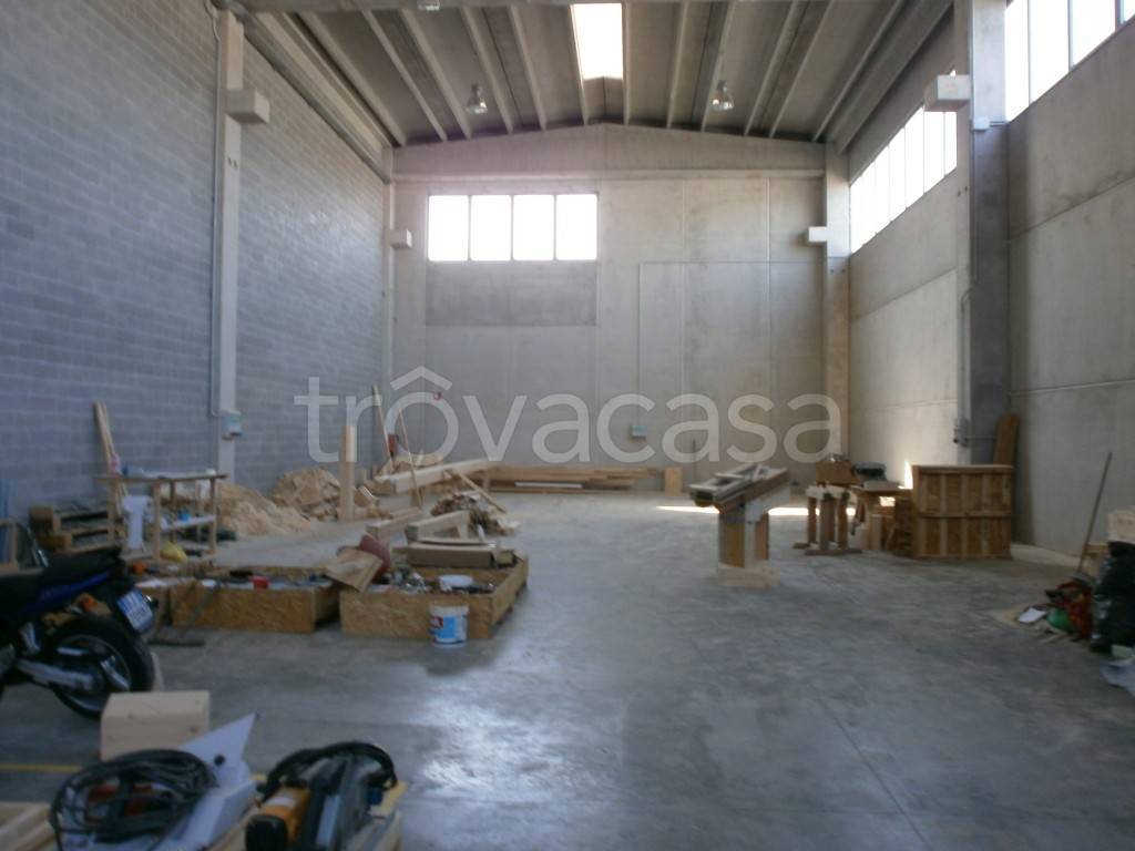 appartamento in affitto a Verona in zona Borgo Roma