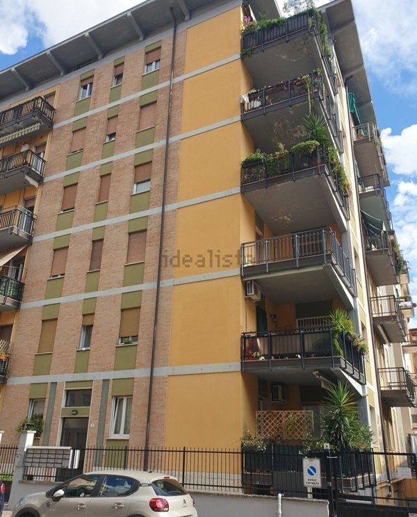 appartamento in affitto a Verona