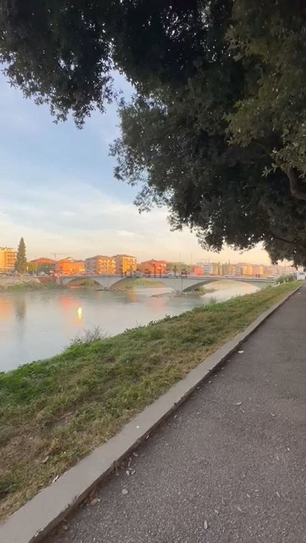 appartamento in affitto a Verona in zona Borgo Trento