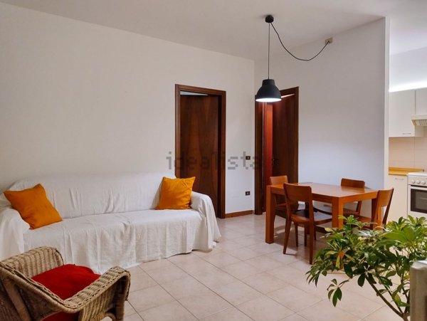 appartamento in affitto a Verona in zona Veronetta