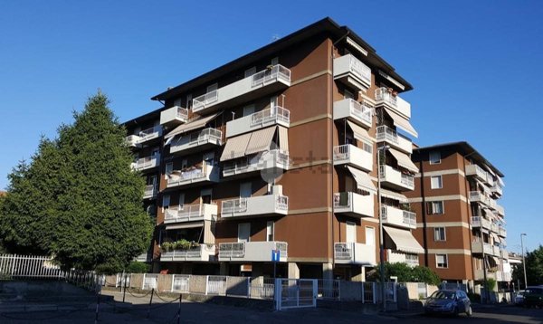 appartamento in affitto a Verona in zona Borgo Roma