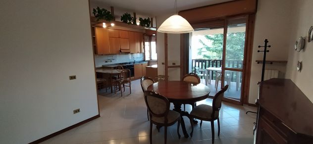 appartamento in affitto a Verona in zona Borgo Roma