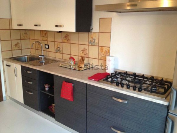 appartamento in affitto a Verona in zona Borgo Roma