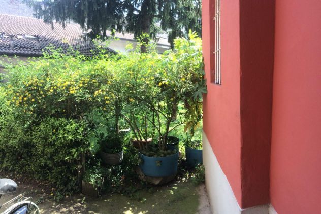 appartamento in affitto a Verona in zona Borgo Venezia / Borgo Trieste