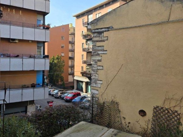 appartamento in affitto a Verona in zona Musicisti / Santa Croce