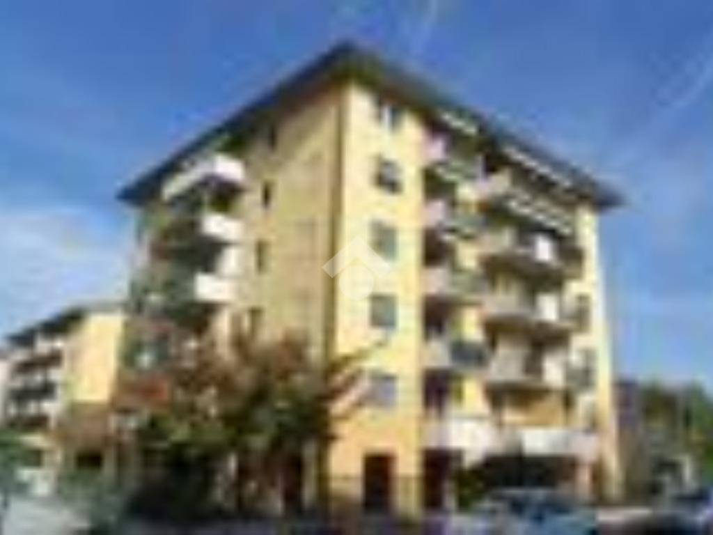 appartamento in affitto a Verona in zona Borgo Roma