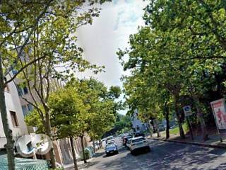 appartamento in affitto a Verona in zona Centro Storico