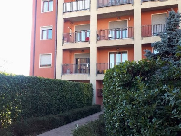 appartamento in affitto a Verona in zona Borgo Roma