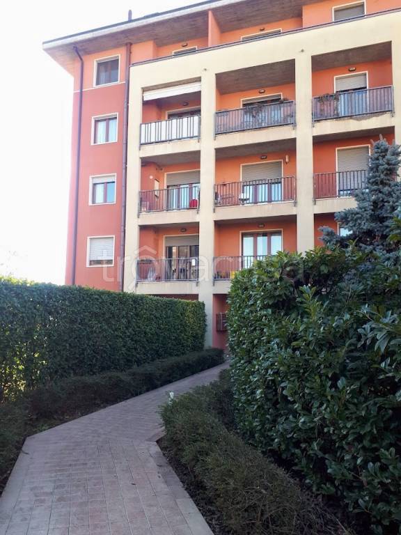 appartamento in affitto a Verona in zona San Massimo all'Adige