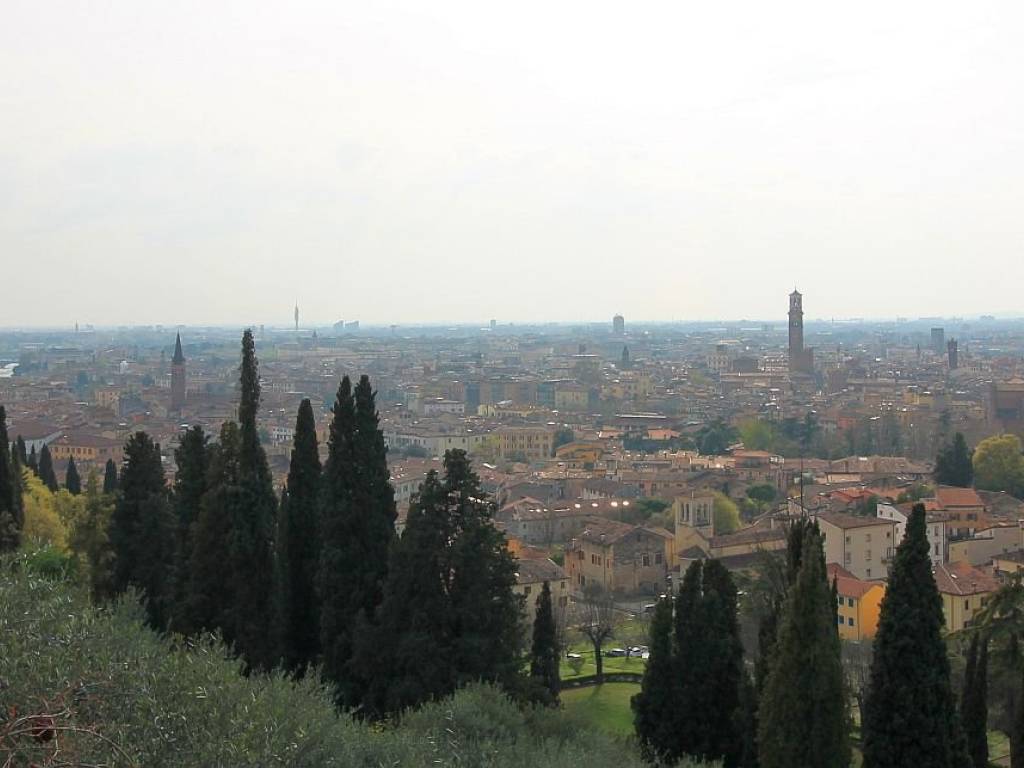 appartamento in affitto a Verona