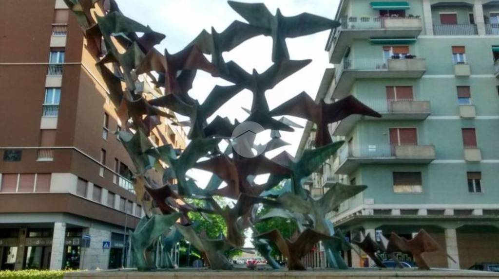 appartamento in affitto a Verona