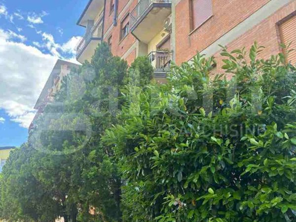 appartamento in affitto a Verona in zona Porto Crencano