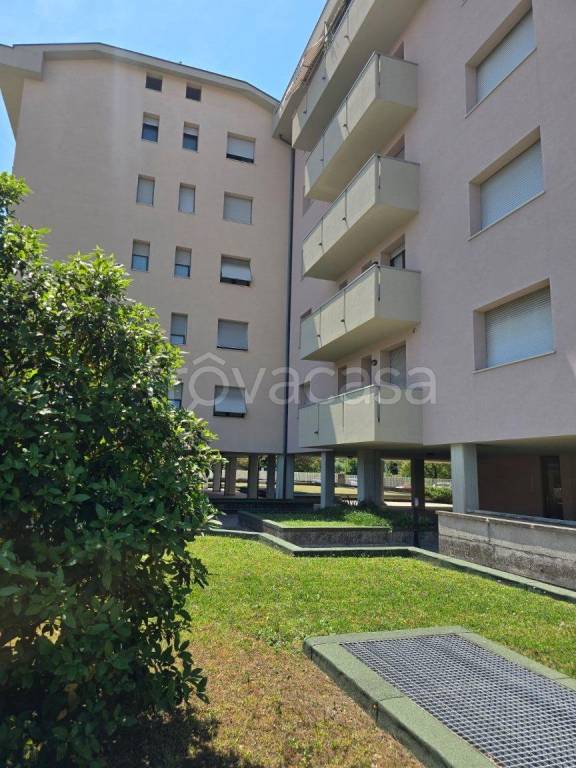 appartamento in affitto a Verona in zona Borgo Roma