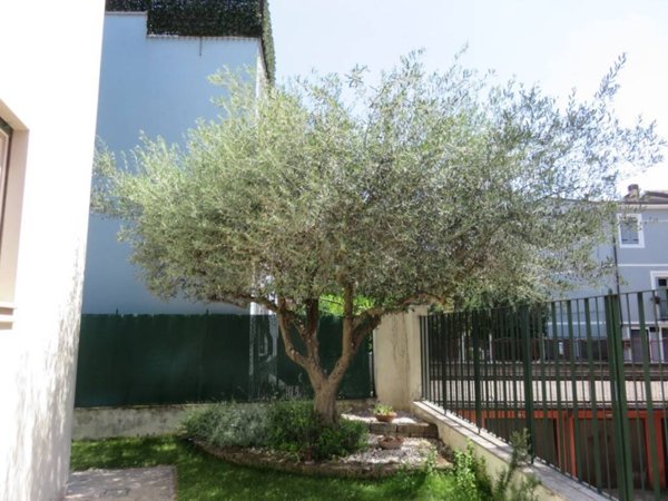 appartamento in affitto a Verona in zona Borgo Roma