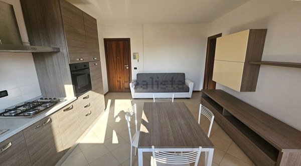 appartamento in affitto a Verona in zona Borgo Roma