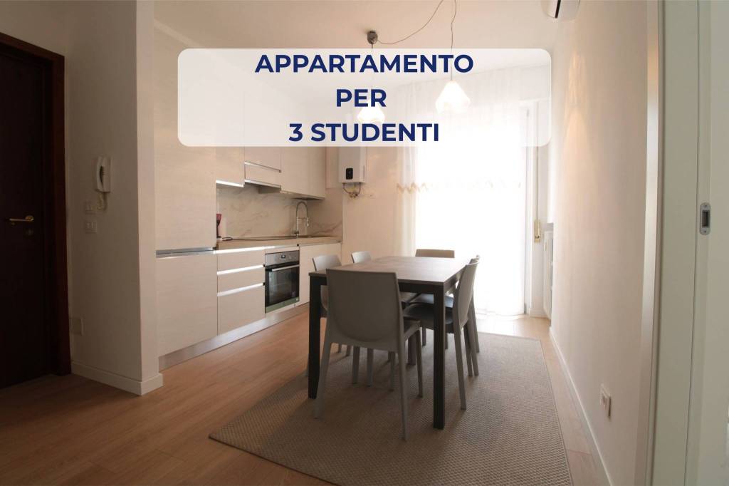 appartamento in affitto a Verona in zona Veronetta