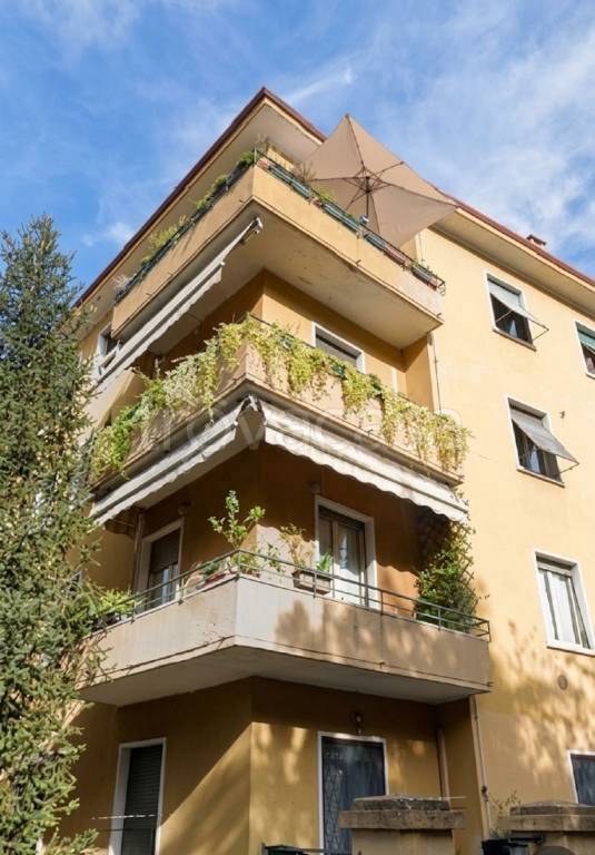 appartamento in affitto a Verona in zona Valdonega